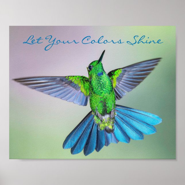 Poster Inspiron Hummingbird Verde e Azul (Frente)
