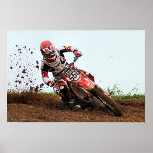 Pôster Instinto de assassino