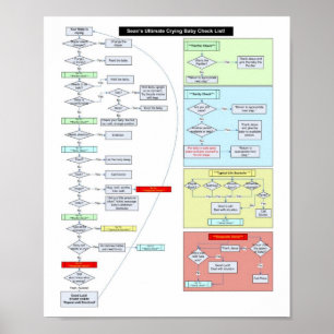 Poster Instruções do bebê