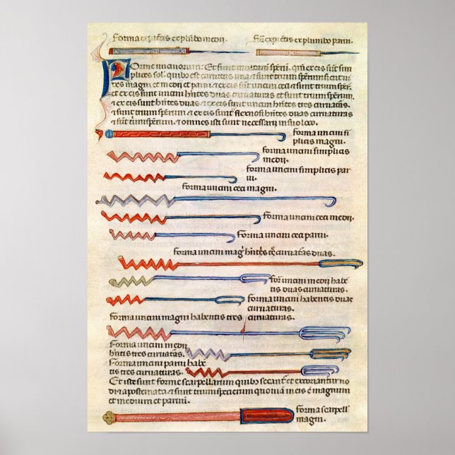 Pôster Instrumentos cirúrgicos de um tratado (Frente)