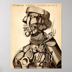 Poster Instrumentos Vintage da Sustentação Humana - Coz