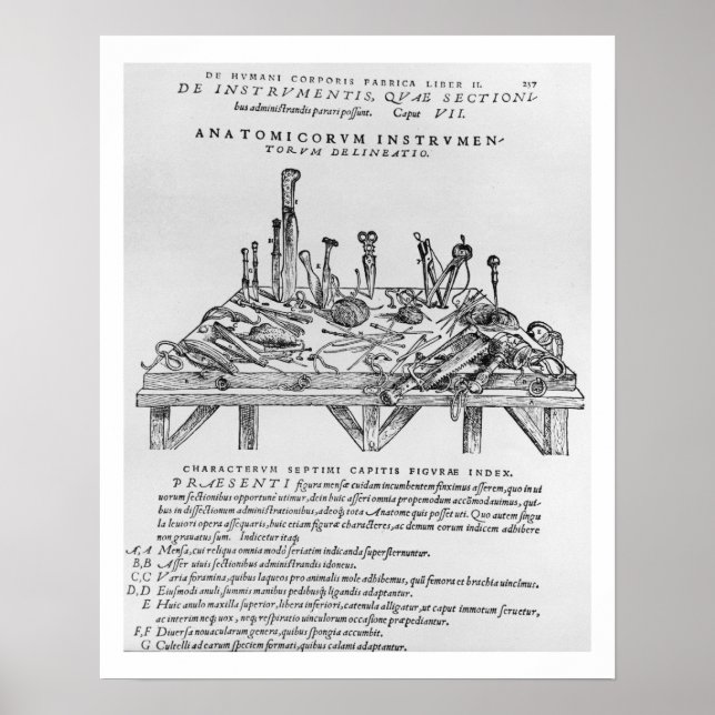 Pôster Instruments for Dissections, illustration from 'De (Frente)