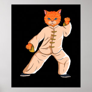 Poster Instrutor Tai Chi Cat