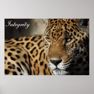 Pôster Integridade