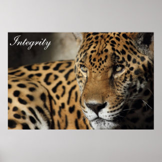 Pôster Integridade
