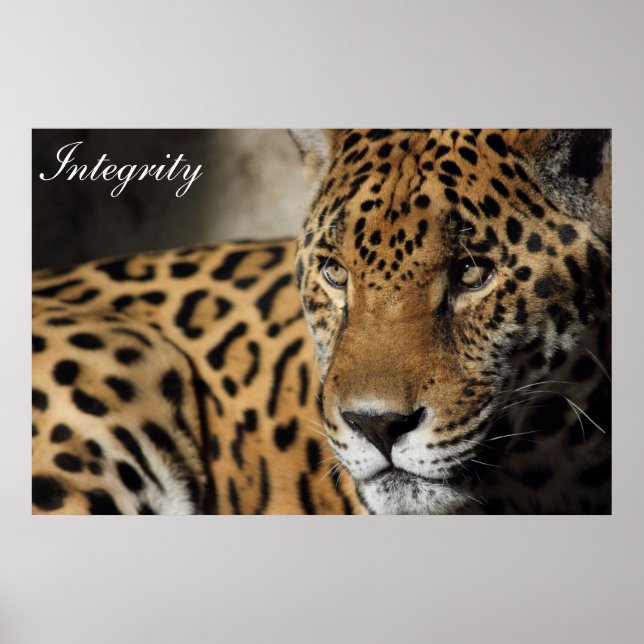 Pôster Integridade (Frente)