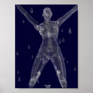 Pôster Intenções Cruéis