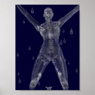 Pôster Intenções Cruéis