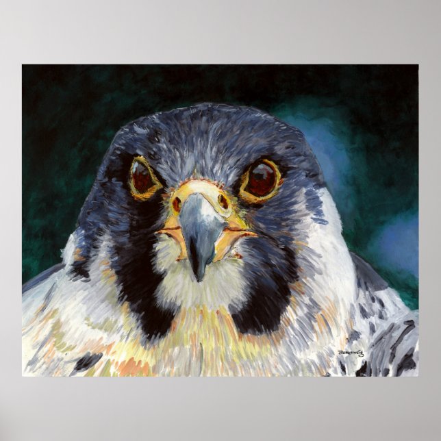 Pôster Intensidade - O Diário do Falcão (Frente)