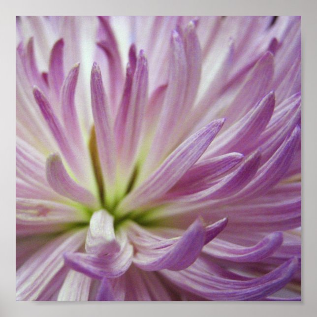 Pôster Interior (Frente)