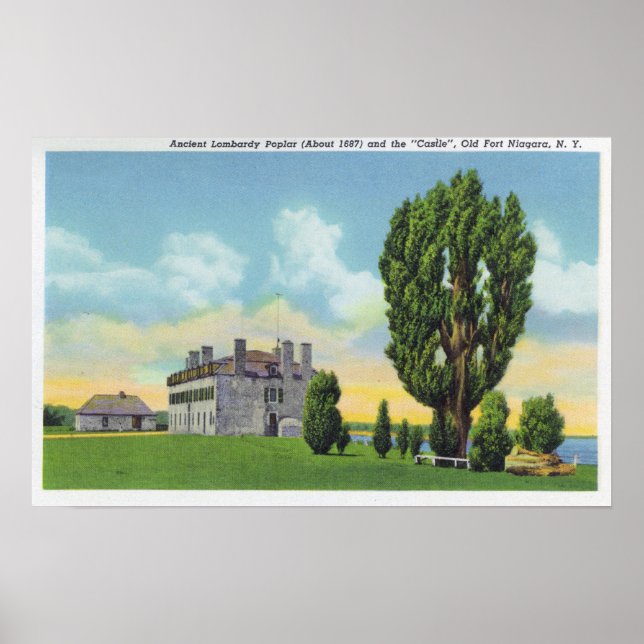 Pôster Interior da Capela Jesuíta no Castelo Francês Anti (Frente)