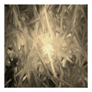 Pôster Interior de luz monocromática