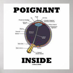 Poster Interior triste do olho (i) (globo ocular