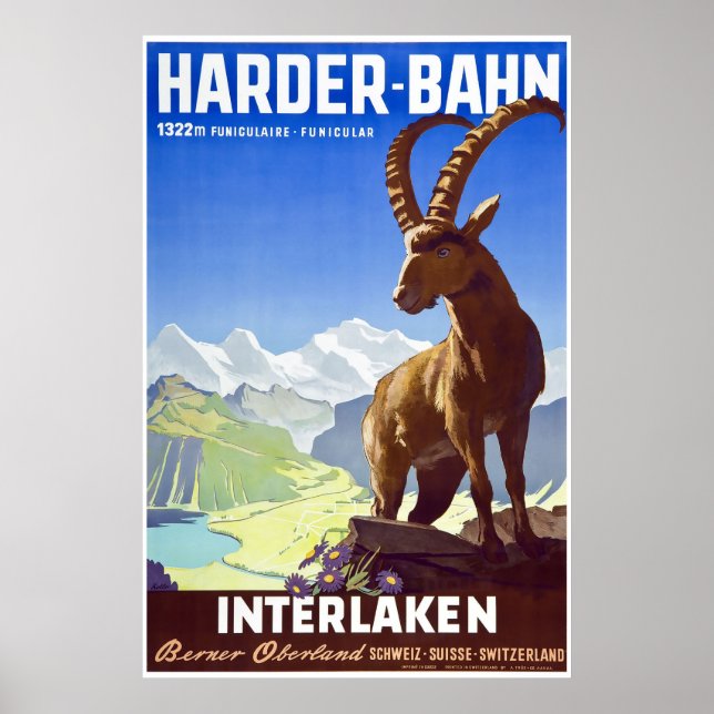 Pôster Interlaken,Suiça,Poster de viagens de Esqui (Frente)