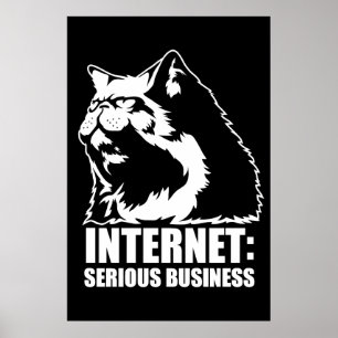 Poster Internet: Negócio sério (camiseta engraçada do