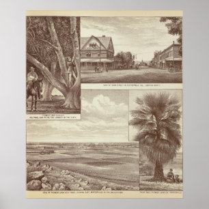 Pôster Intervalo pioneiro do Co da terra, Porterville