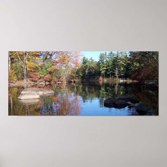 Pôster Into the Cove (Frente)