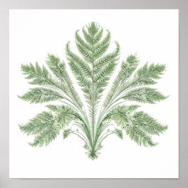 Poster Intricate Botanical Symmetry: Fractal Flora