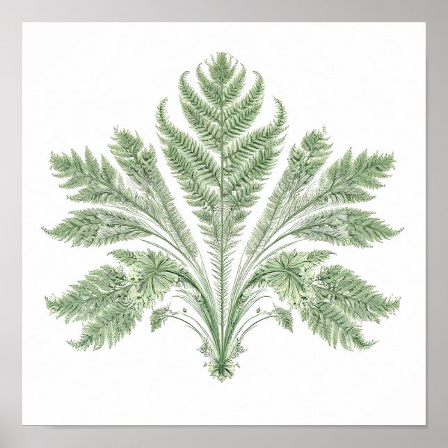 Poster Intricate Botanical Symmetry: Fractal Flora (Frente)
