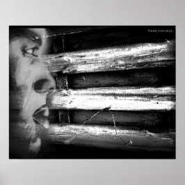 Pôster Introdução