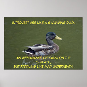 Poster Introdução ao Pato