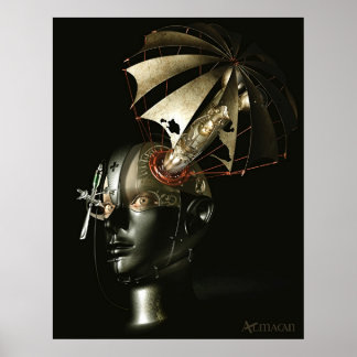 Pôster Inundação do Antônio