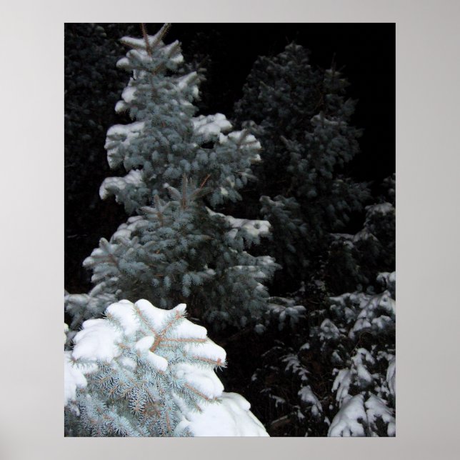 Poster Inverno (Frente)