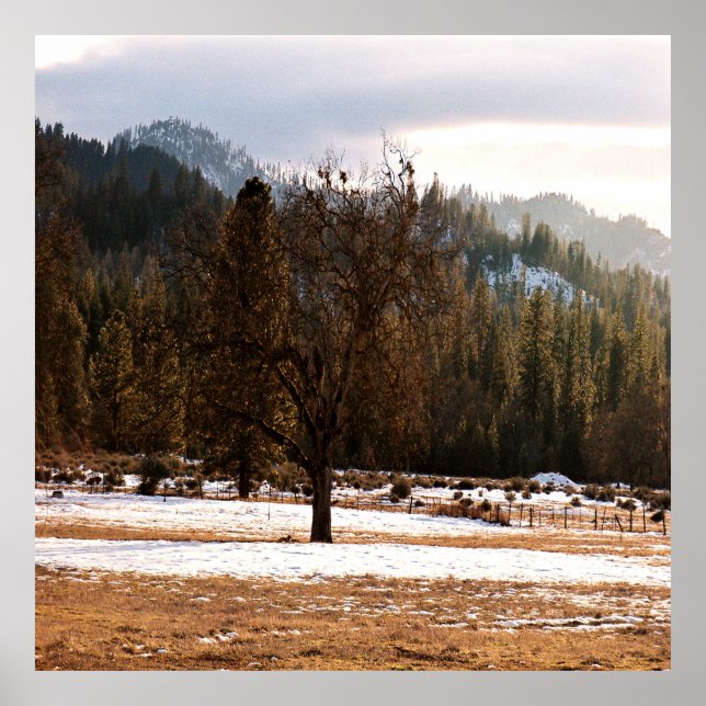 Poster Inverno..... (Frente)