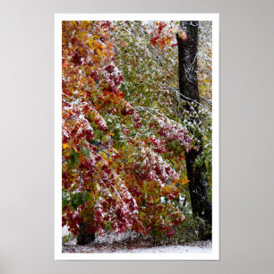 Poster Inverno adiantado