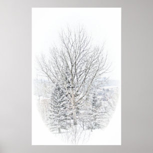 Pôster Inverno canadense