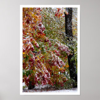 Poster Inverno inicio