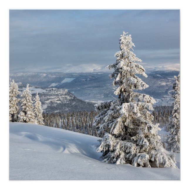 Pôster Inverno na Noruega (Frente)