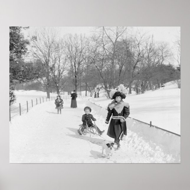 Poster Inverno no Central Park, 1900. Foto Antiga (Frente)