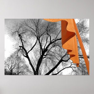 Poster Inverno no parque