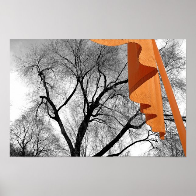 Poster Inverno no parque (Frente)