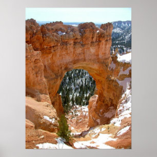 Pôster Inverno no parque nacional da garganta de Bryce