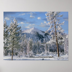 Pôster Inverno no Parque Nacional de Yellowstone, Wyoming