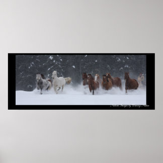 Poster Inverno Redondo