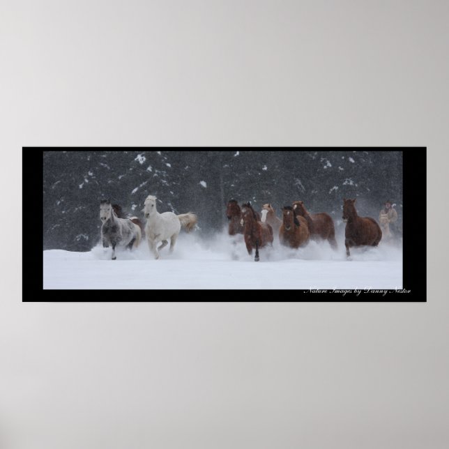 Poster Inverno Redondo (Frente)