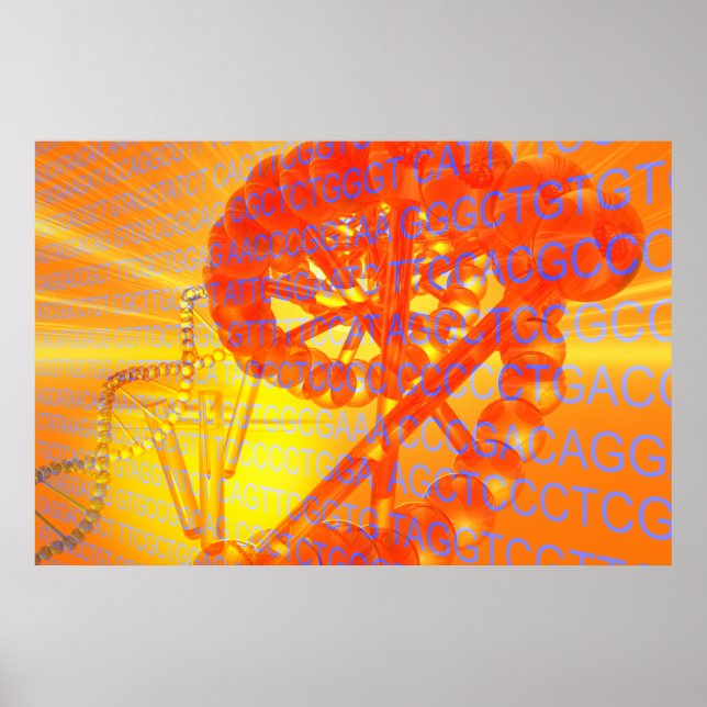 Pôster Investigação genética (Frente)