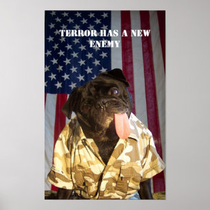 Pôster Iogue do SOLDADO que luta a guerra ao terror