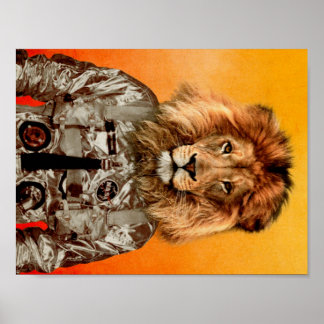 Poster Ir voar