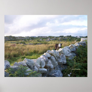 Poster Ireland rural