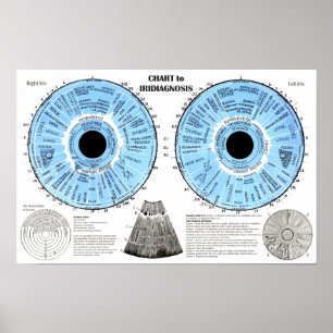 Poster Iridiagnóstico Iridologia Gráfico do Olho
