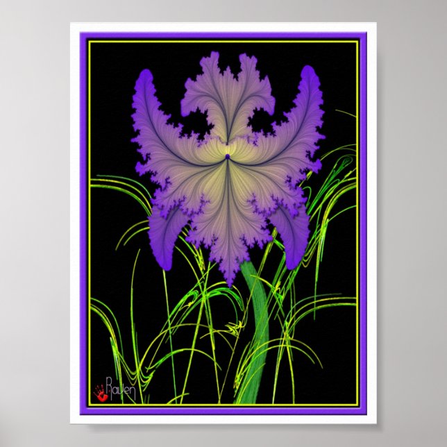 Poster Iris (Frente)