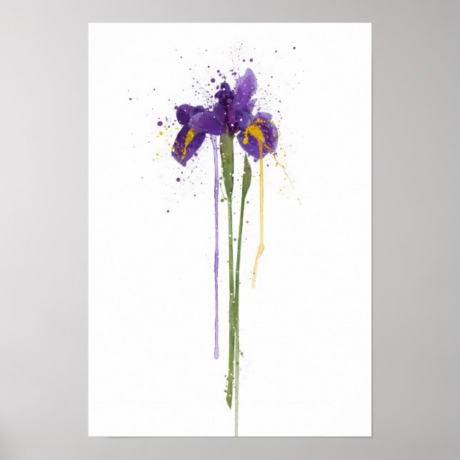 Poster Iris (Frente)