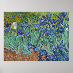 Poster Íris Azuis Famosas de Van Gogh Pintura Floral a Ól