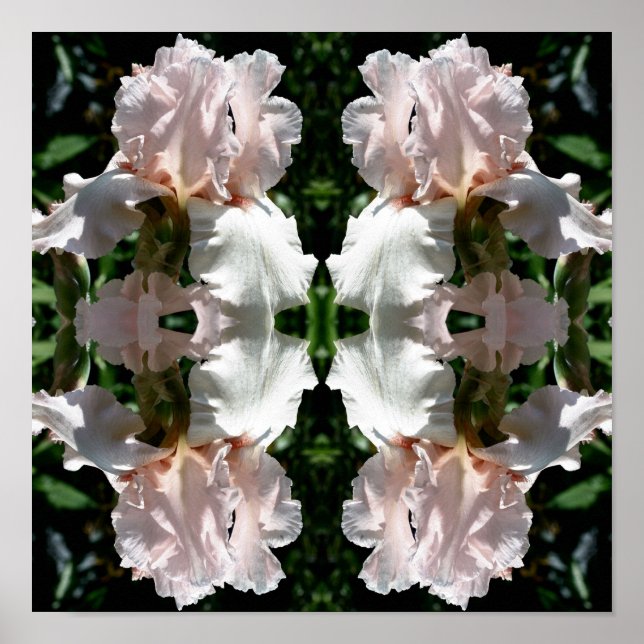 Poster Íris blindada Flor para cima Abstrato (Frente)