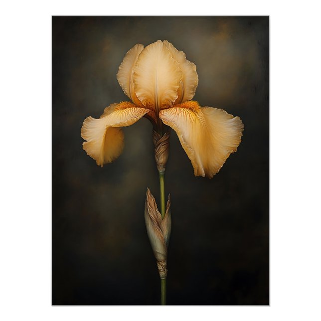 Pôster Iris Botânica Amarela (Frente)