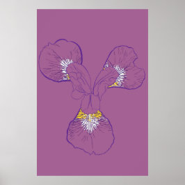 Poster Iris Botanical Line Art